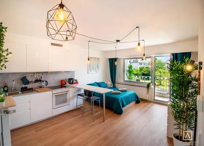Modern Style Studio With Balcony, Smart Tv, Business & Leisure