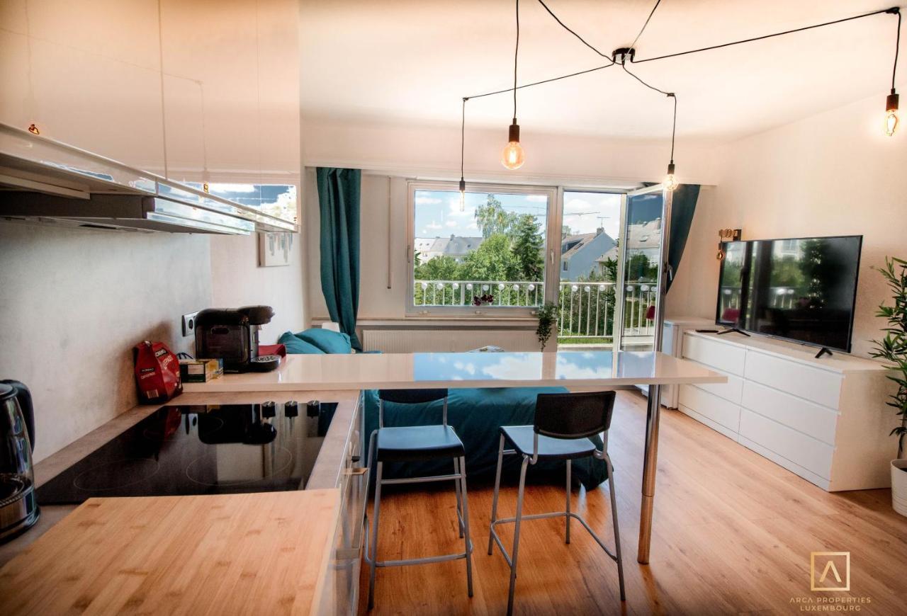 Modern Style Studio With Balcony, Smart Tv, Business & Leisure * Luxemburg